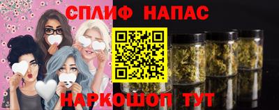 PSILOCYBIN Гай